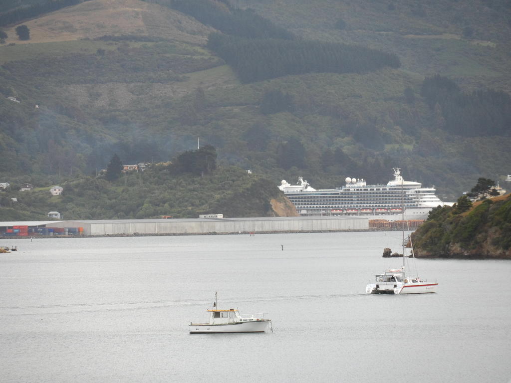 Otago Peninsula Motel Portobello Exterior photo
